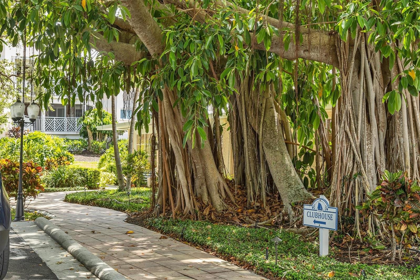 Image 32 of 48 For 11000 Placida Road 302