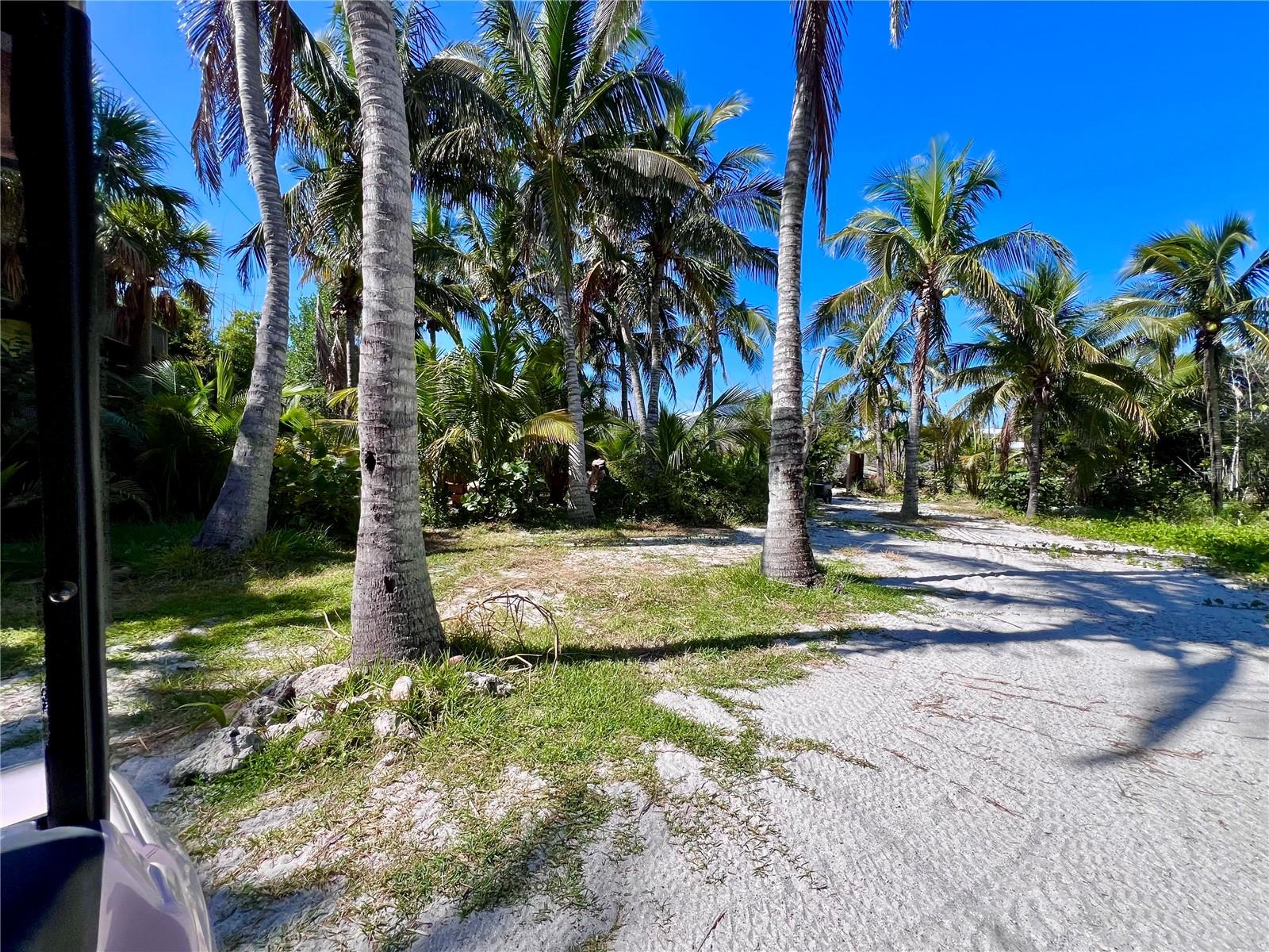 Image 2 of 30 For 9552 Buccaneer Trail