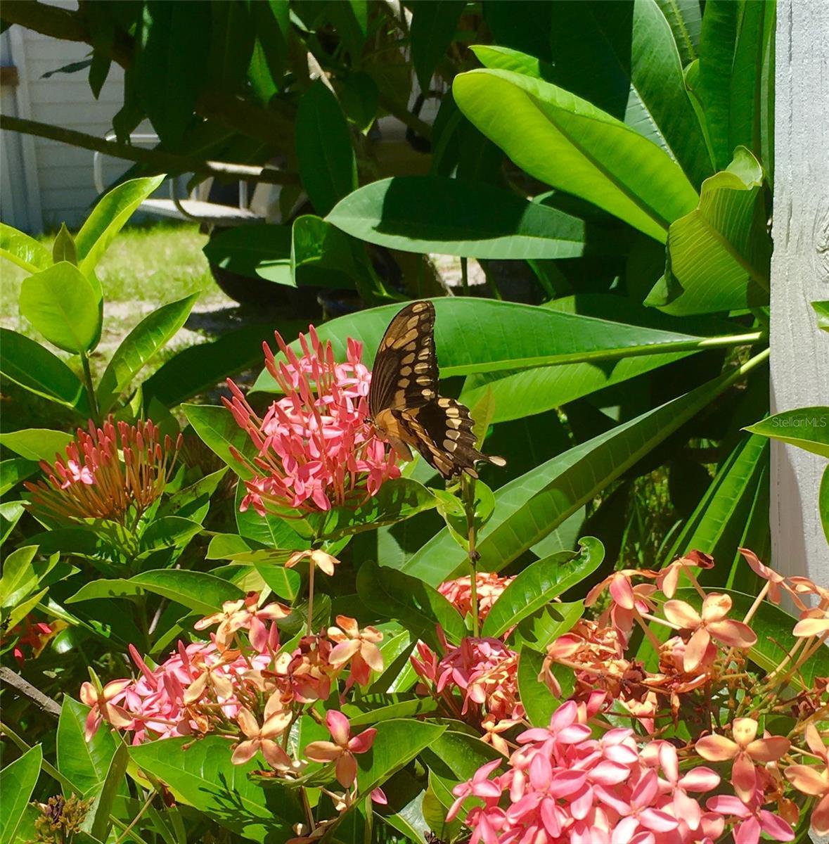 Image 24 of 30 For 9552 Buccaneer Trail