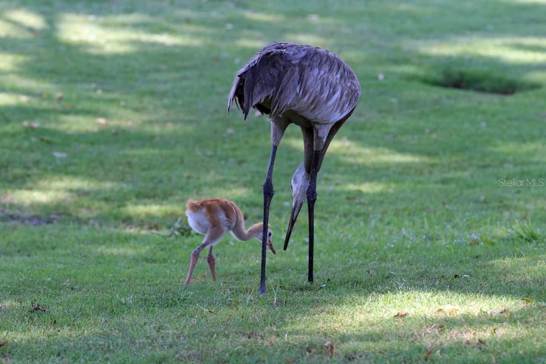 Image 33 of 37 For 2583 Oberon Road