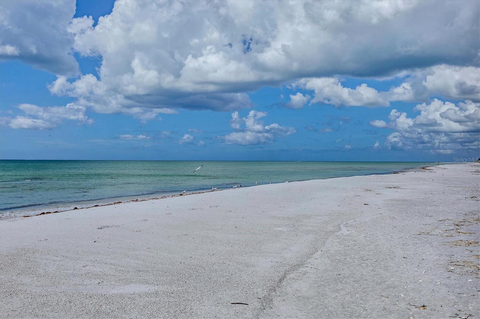 Image 26 of 31 For 5000 Gasparilla Road 304