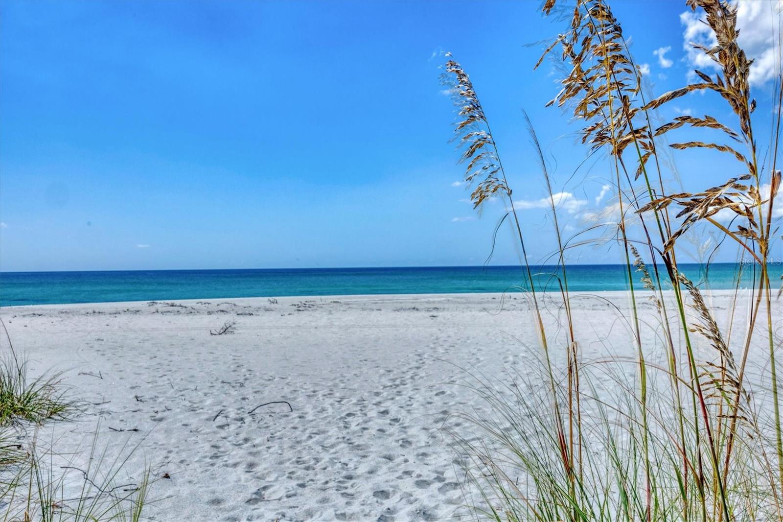 Image 31 of 31 For 5000 Gasparilla Road 304