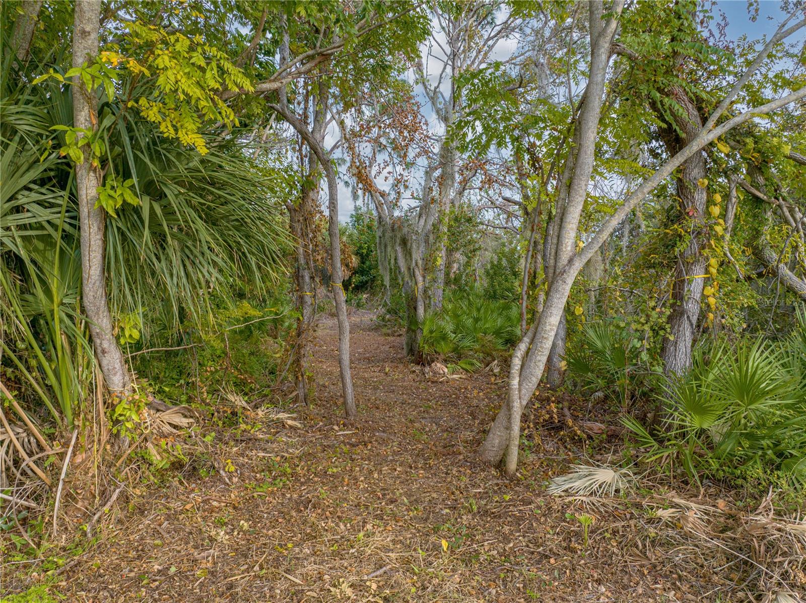 Image 18 of 20 For Stratford 1b Road