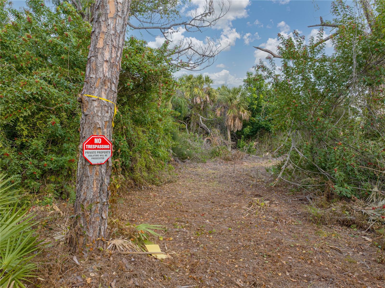 Image 19 of 20 For Stratford 1b Road