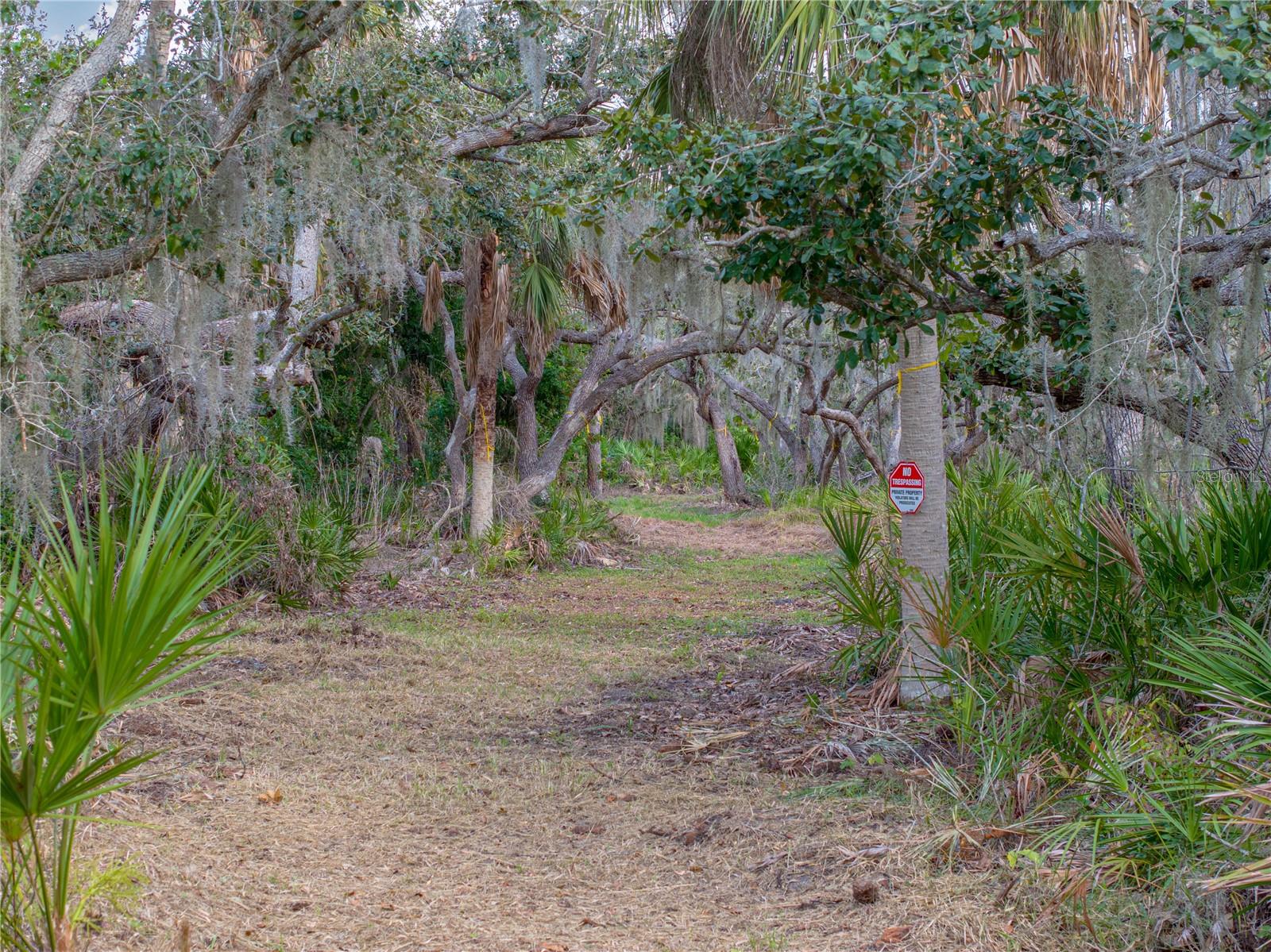 Image 20 of 20 For Stratford 1b Road