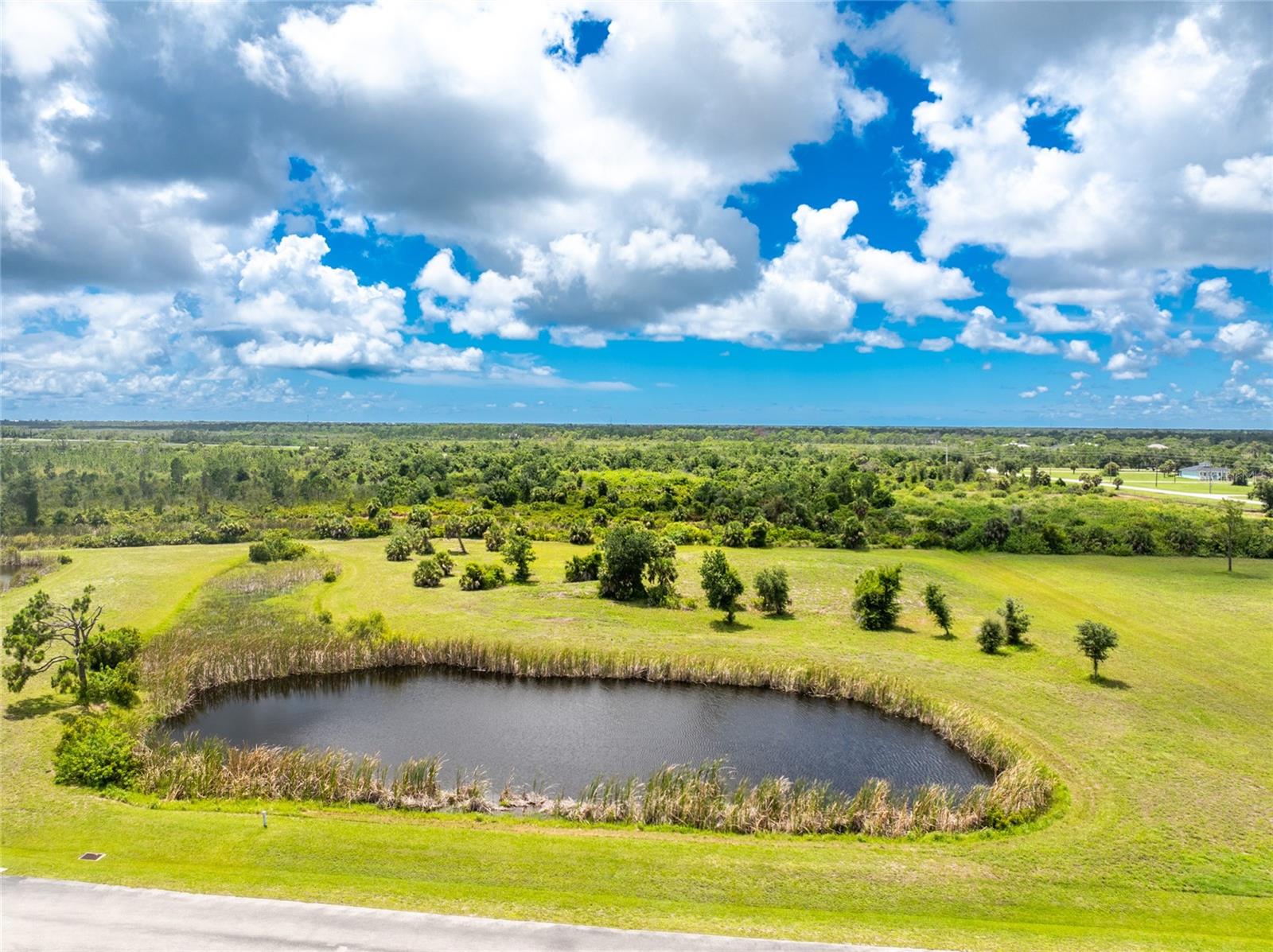 Image 6 of 48 For 11481 Equestrian Court