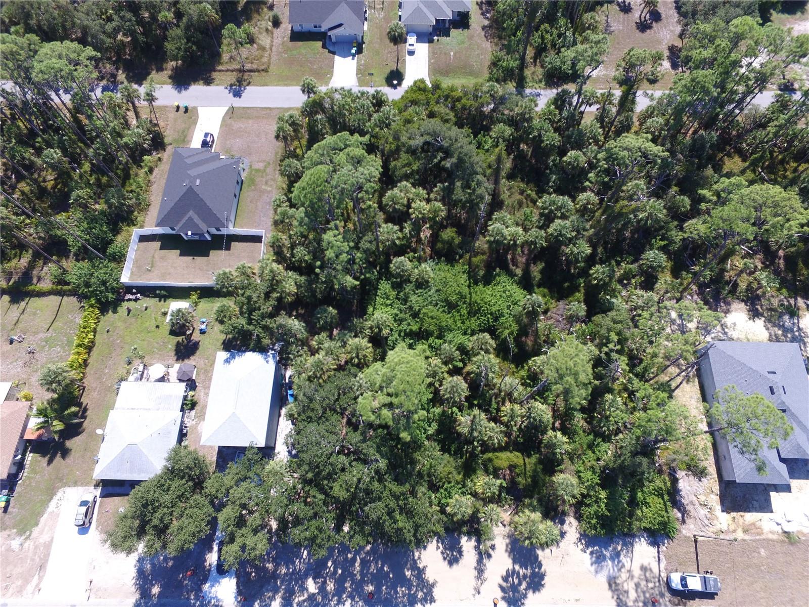 Image 3 of 3 For 15419 Hillsborough Boulevard