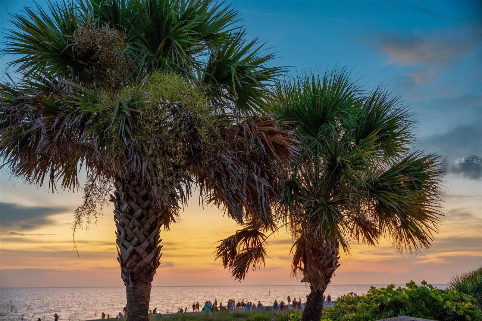 Listing photo id 42 for 1460 Deer Creek Drive