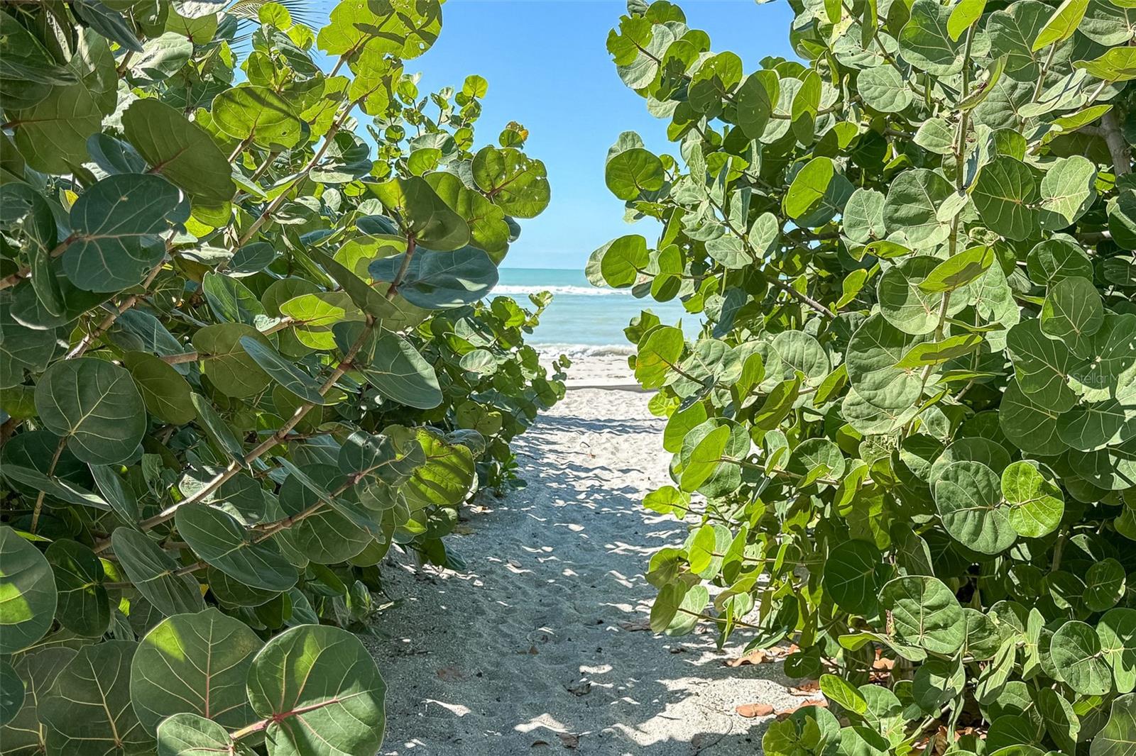 Image 54 of 58 For 2835 Beach Road A