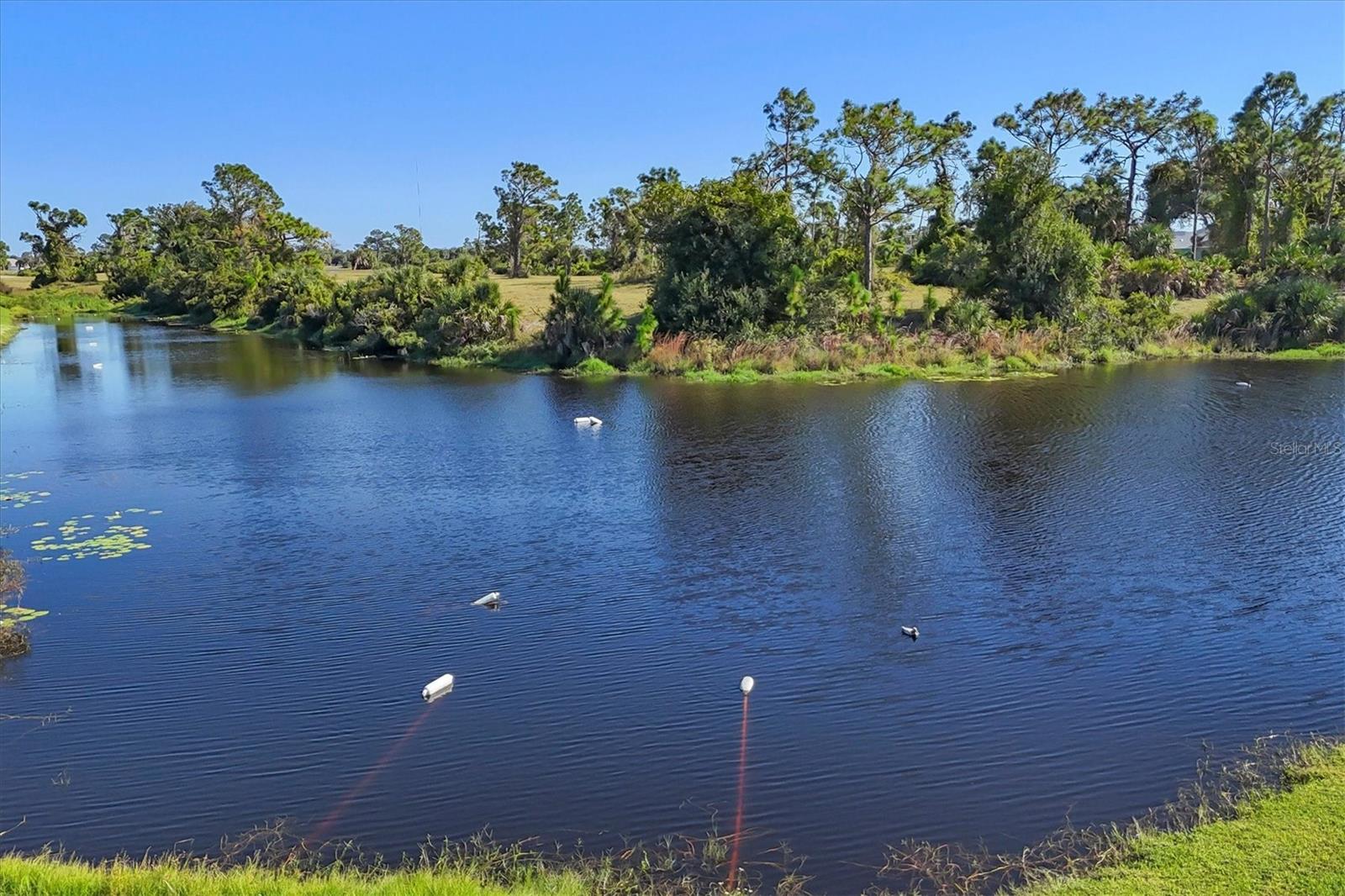 Image 34 of 38 For 34 Sportsman Road