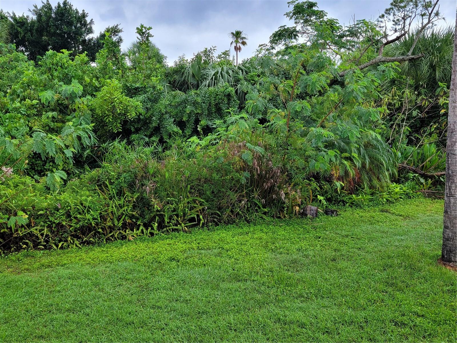 Image 15 of 23 For 14447 Worthwhile Road