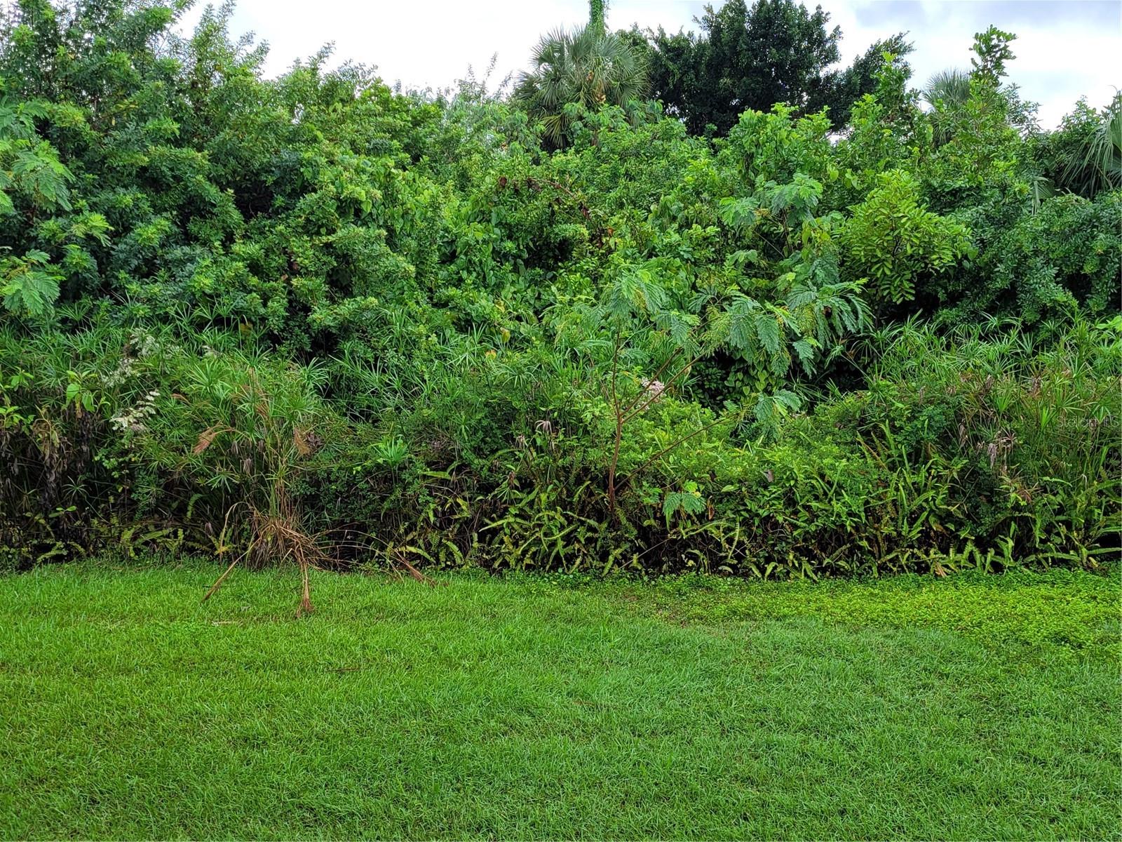 Image 16 of 23 For 14447 Worthwhile Road