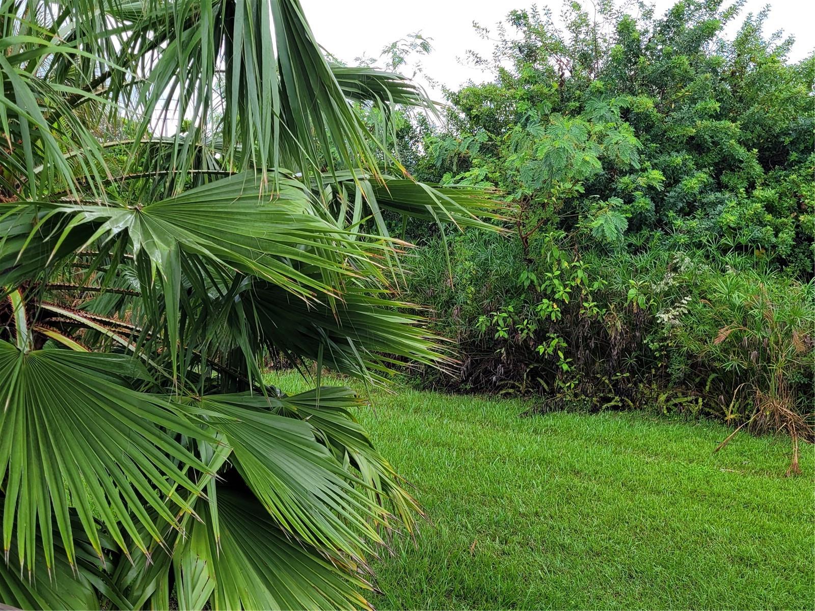 Image 17 of 23 For 14447 Worthwhile Road