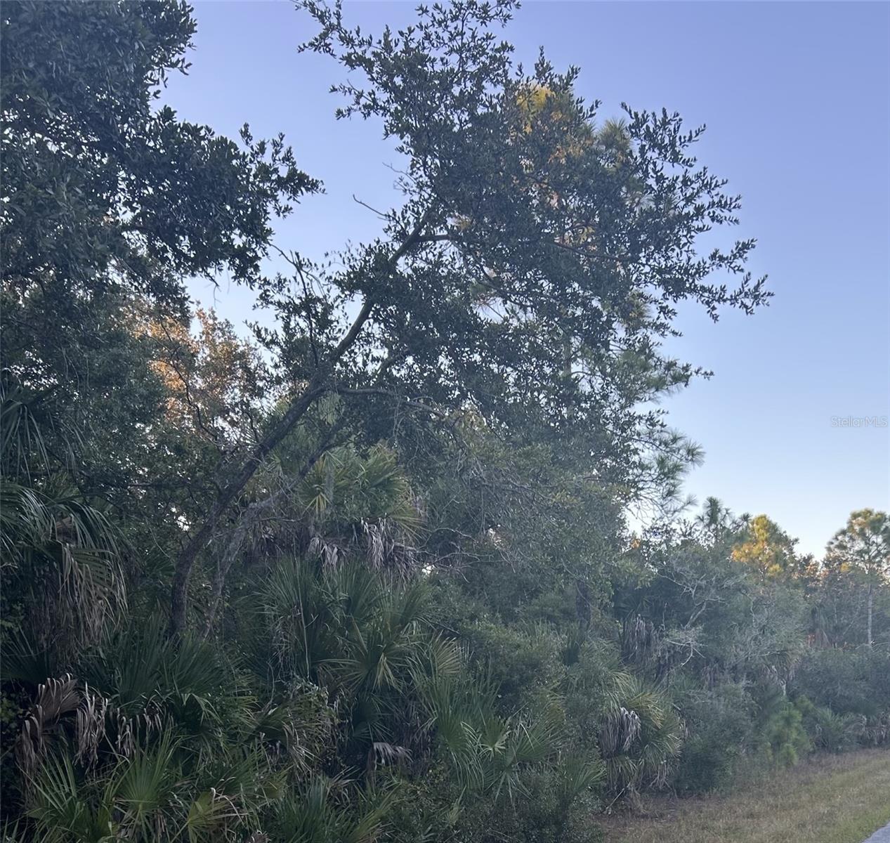 Listing Details for 23391 Buckner Avenue, PORT CHARLOTTE, FL 33980