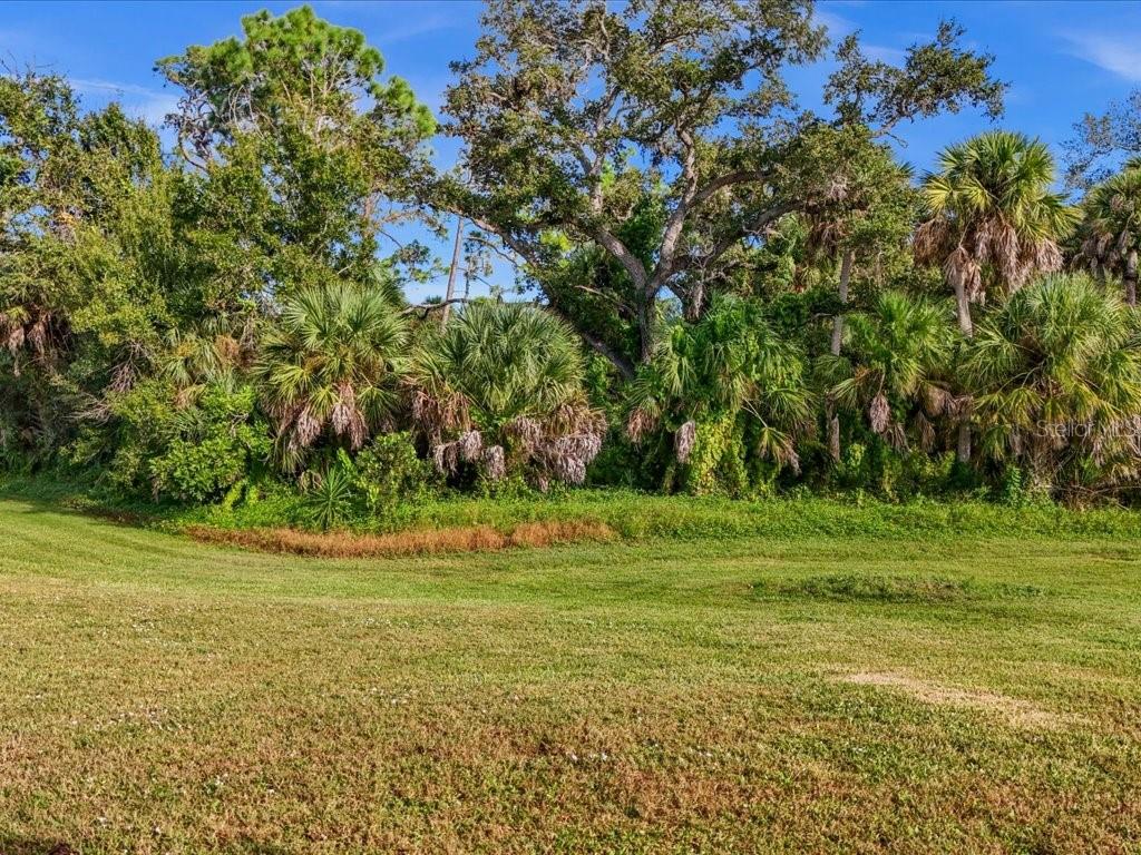 Image 30 of 46 For 809 Manchester Court