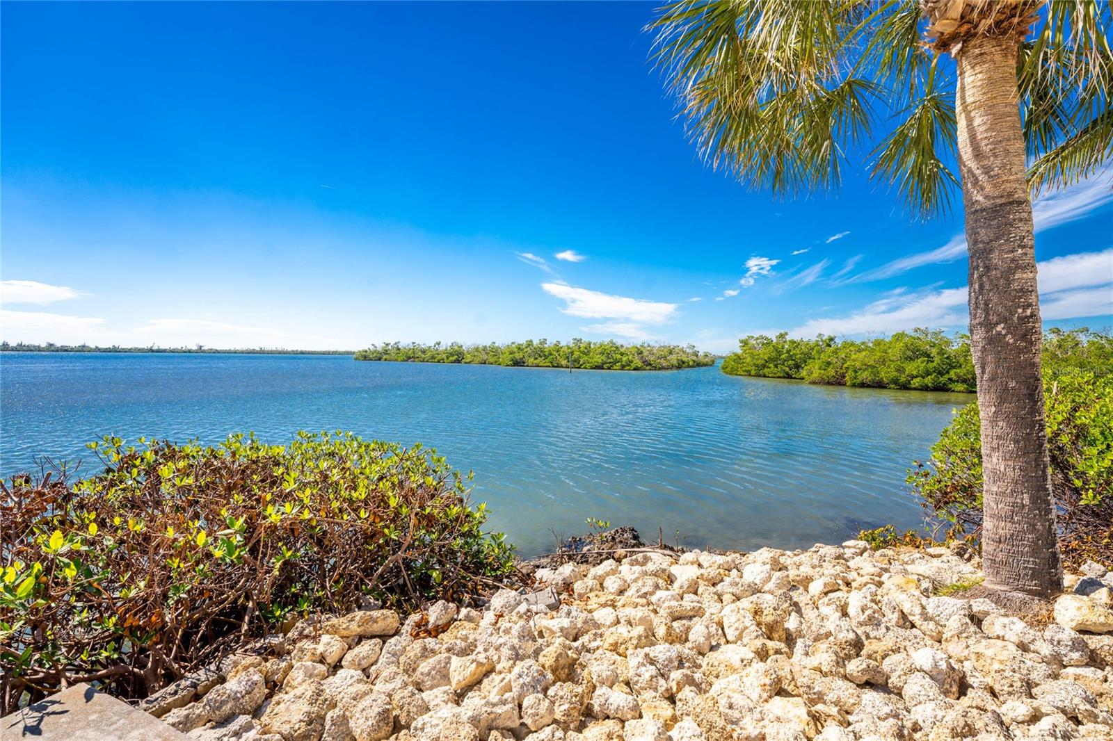 Image 61 of 94 For 9300 Griggs Road