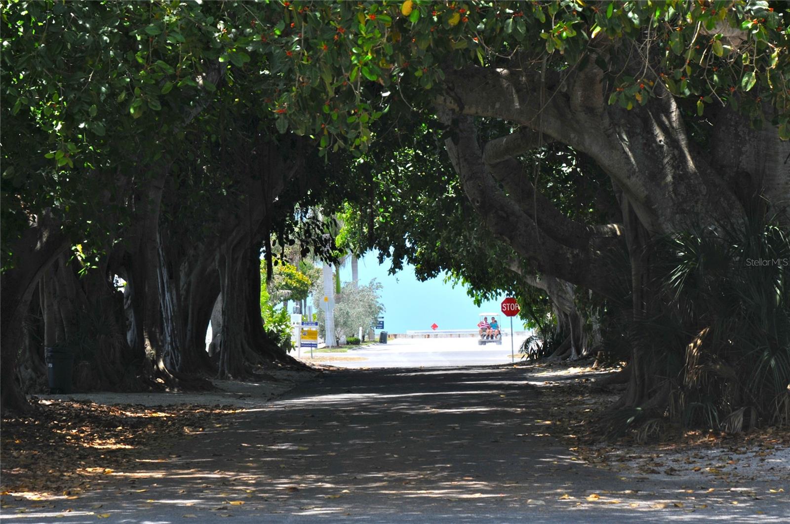 Image 37 of 38 For 380 Tarpon Avenue