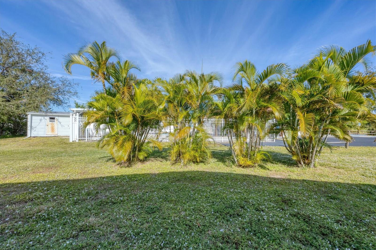 Image 32 of 38 For 9086 Pinehaven Way