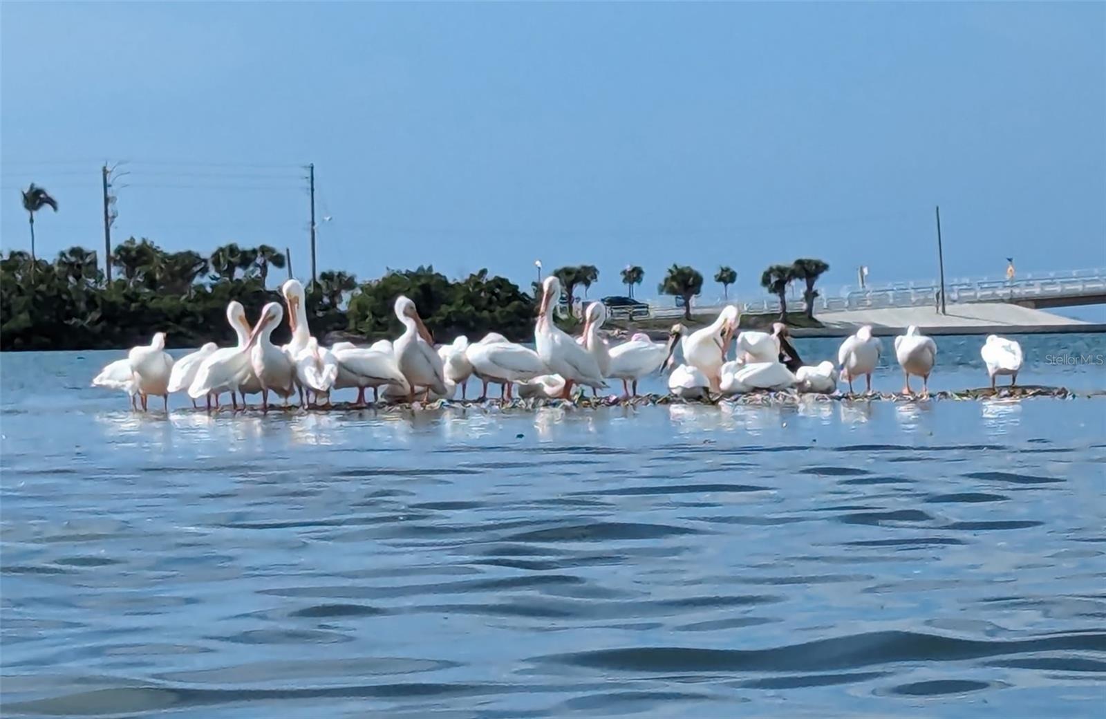 Image 10 of 44 For 1501 Beach Road 307