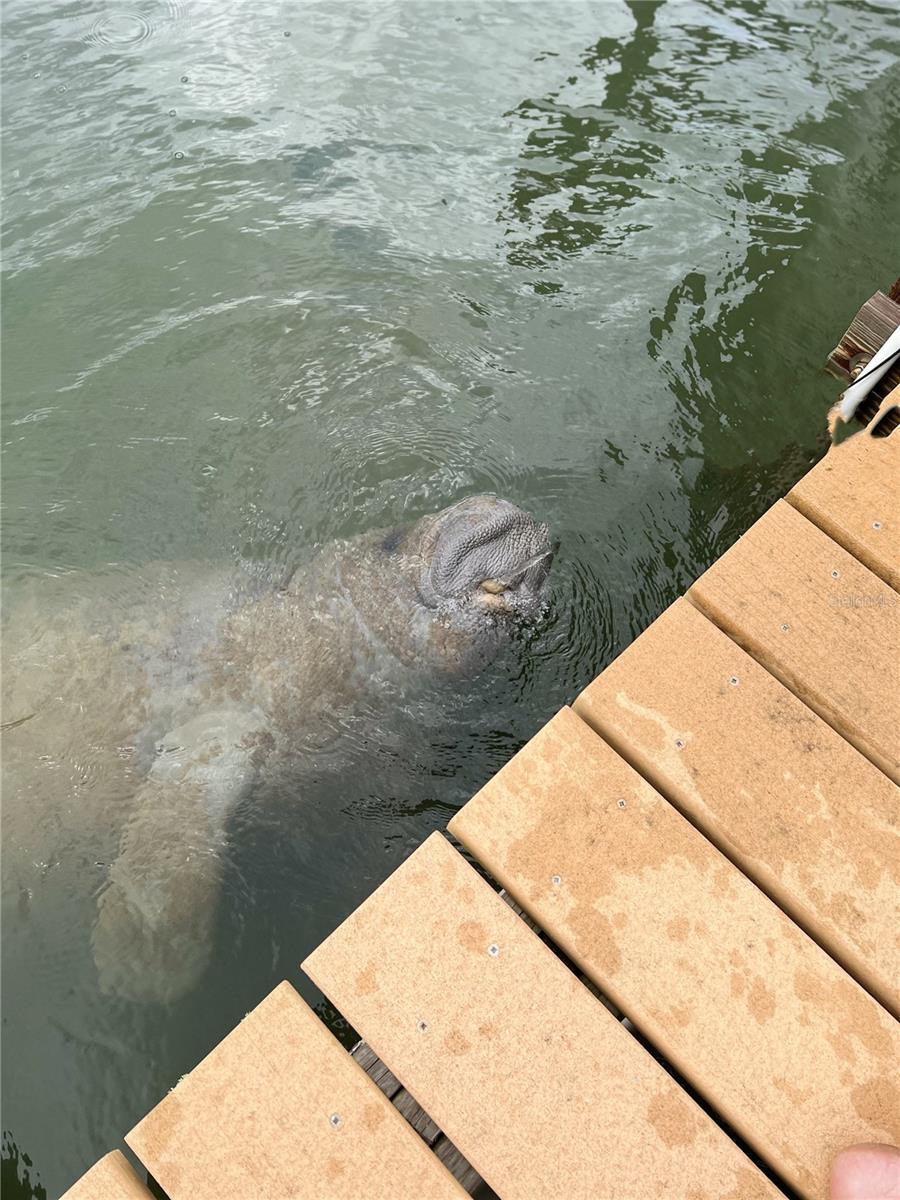 Image 30 of 36 For 8142 Little Gasparilla Island