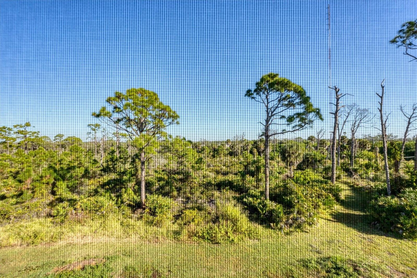 Image 30 of 50 For 8407 Placida Road 307