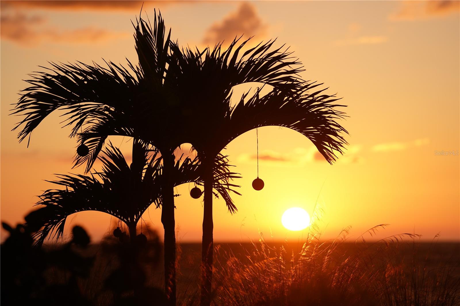 Image 41 of 49 For 2727 Beach Road 113