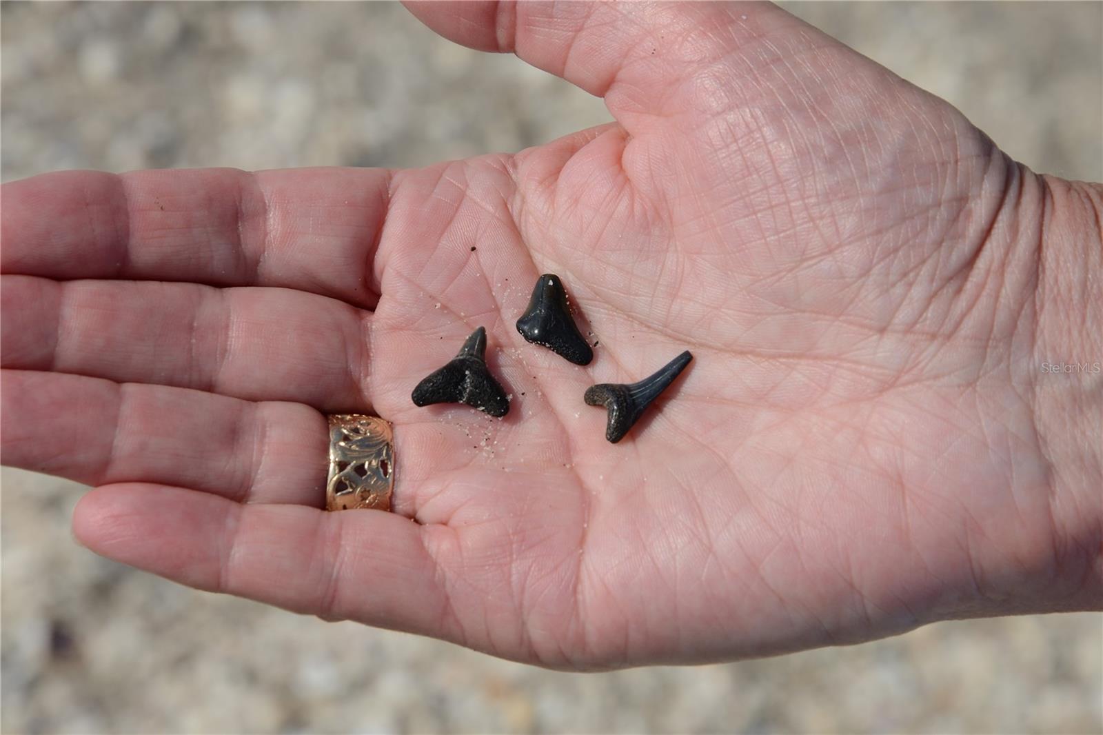 Image 45 of 49 For 2727 Beach Road 113