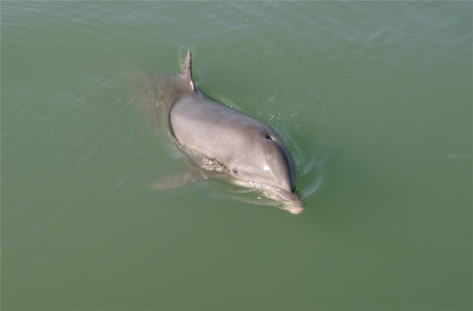 Image 47 of 49 For 2727 Beach Road 113