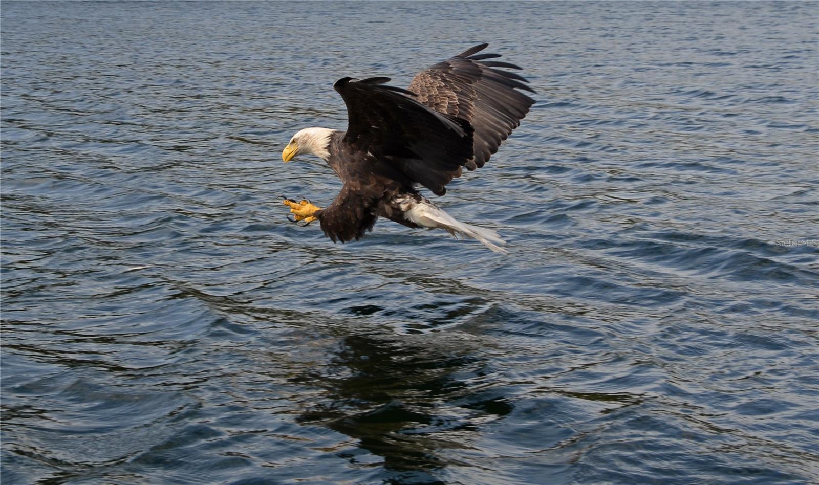 Image 48 of 49 For 2727 Beach Road 113