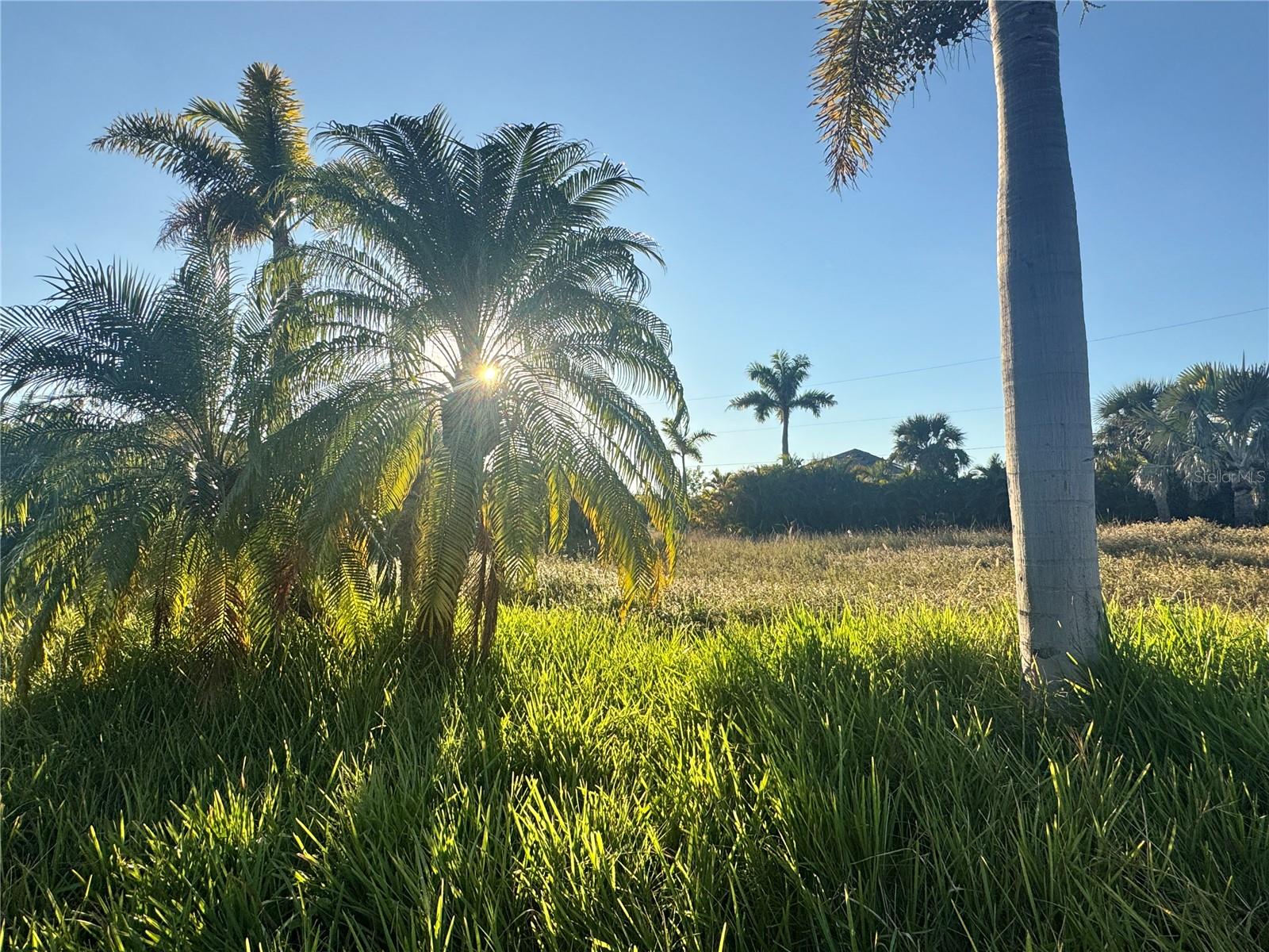 Image 5 of 8 For 9378 Melody Circle