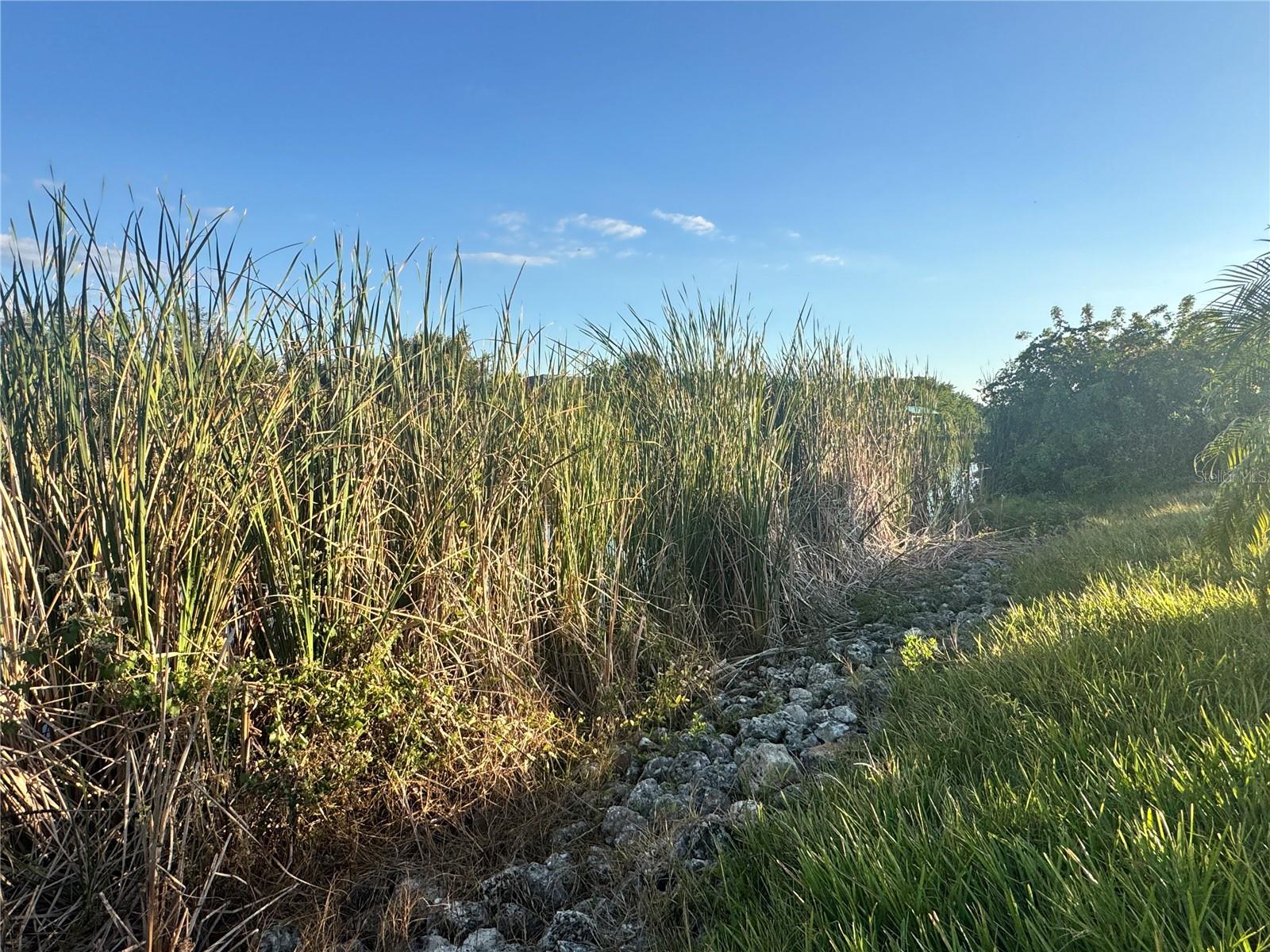 Image 7 of 8 For 9378 Melody Circle