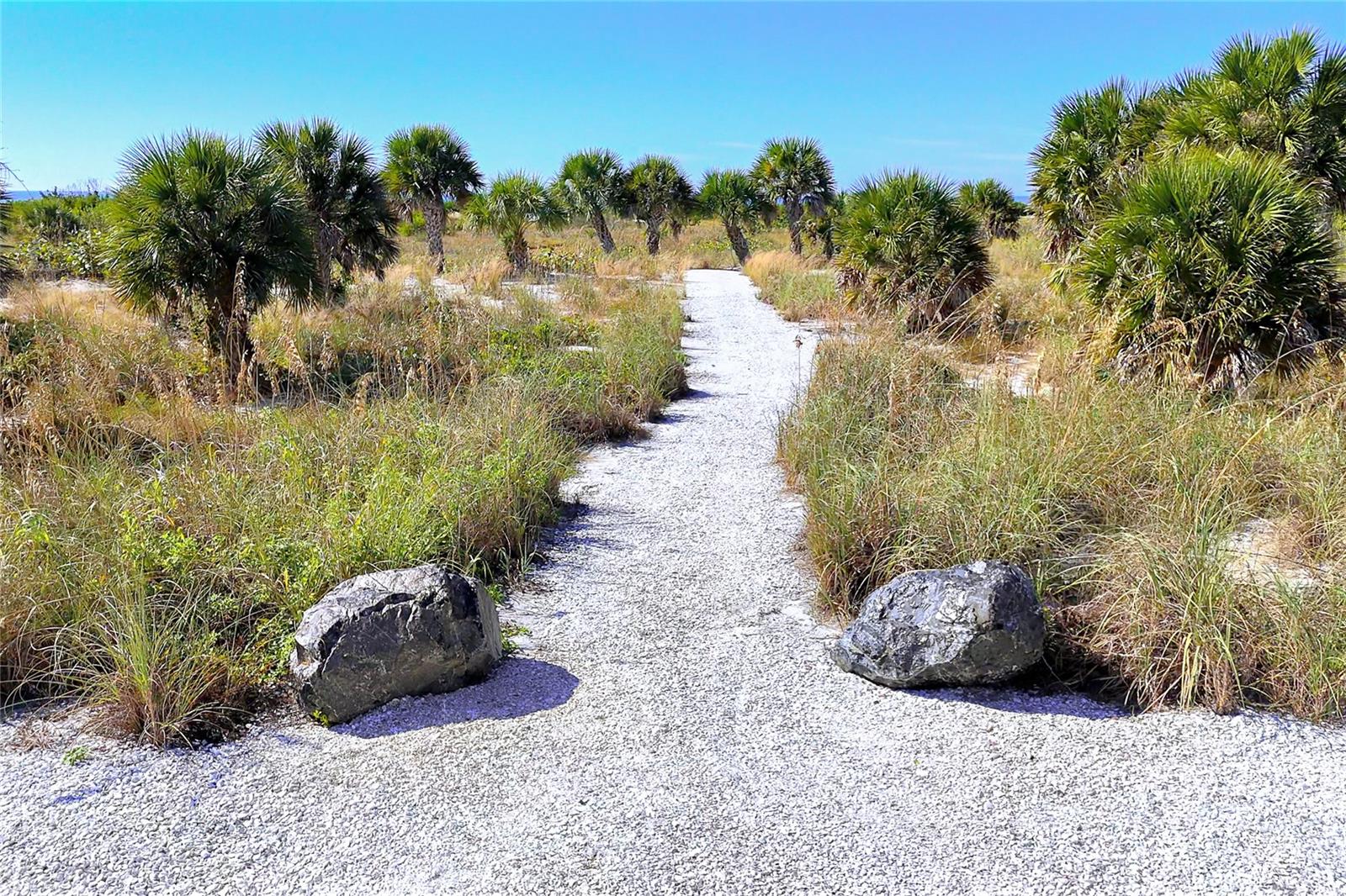 Image 57 of 70 For 7370 Palm Island Drive Ss3