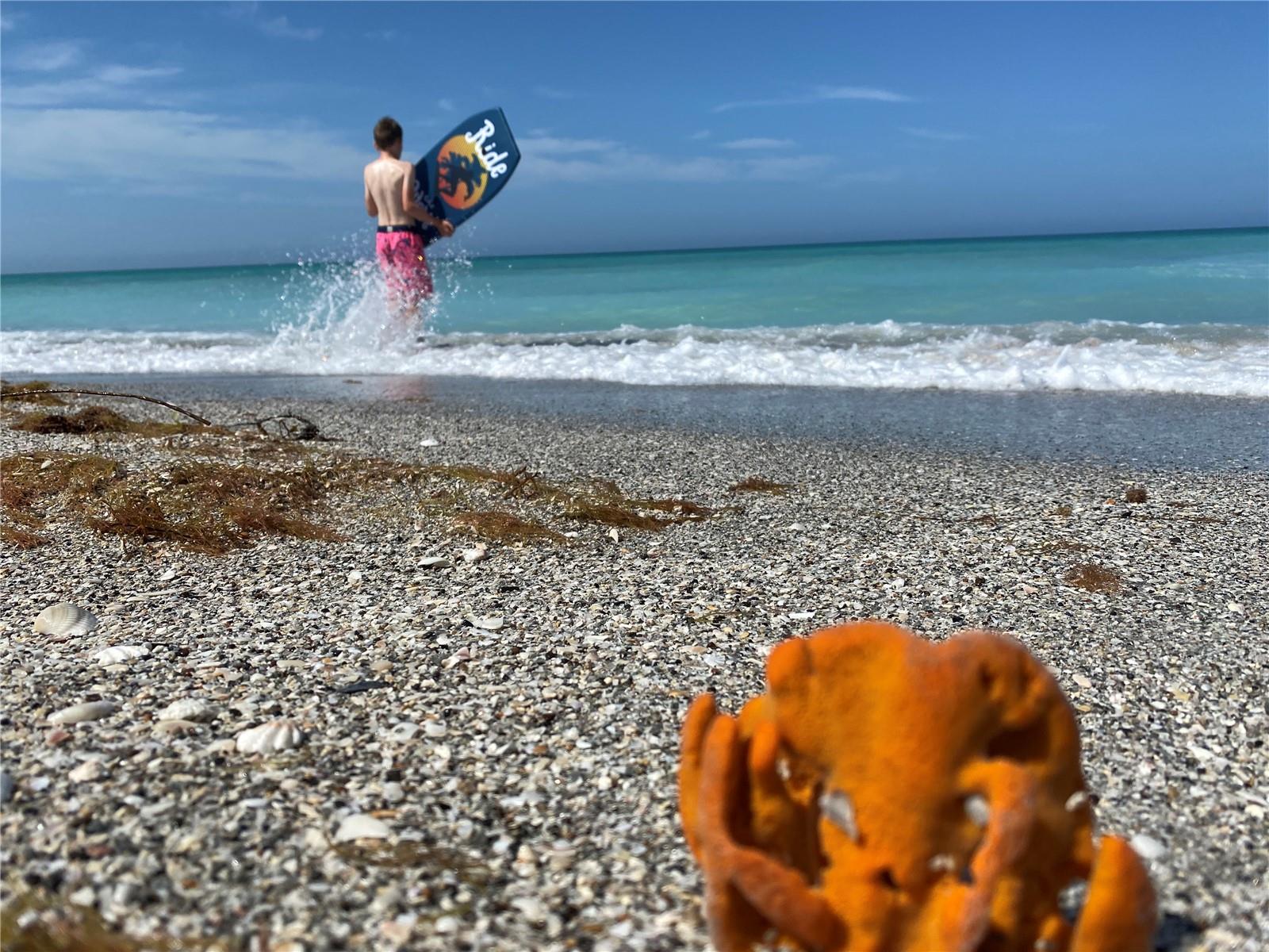 Image 37 of 49 For 2955 Beach Road D125