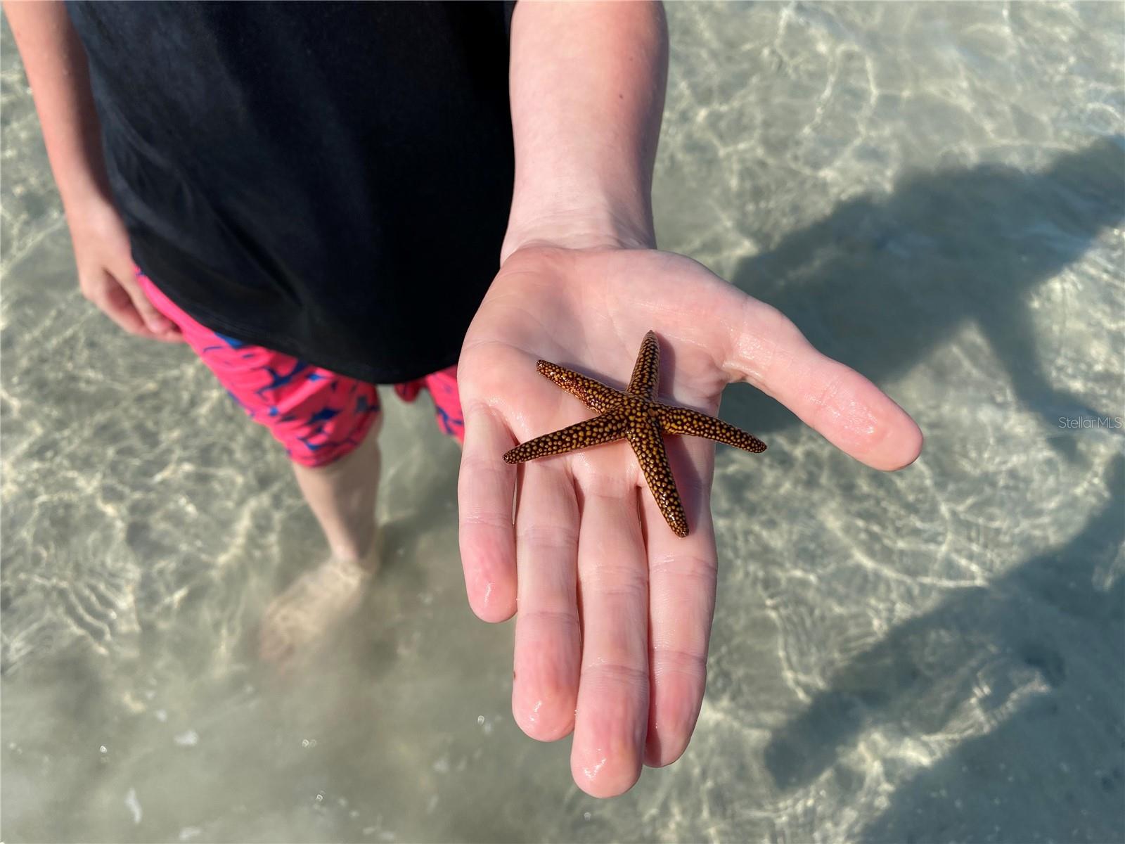 Image 38 of 49 For 2955 Beach Road D125