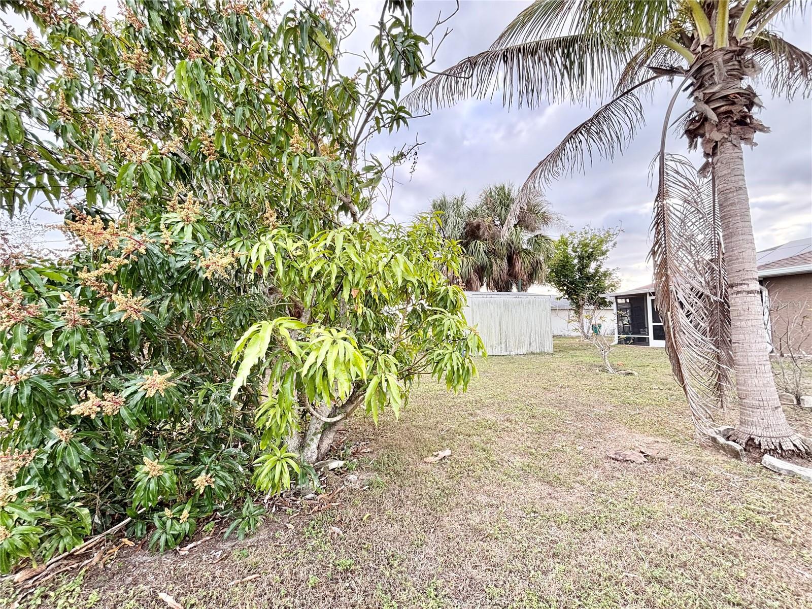 Image 34 of 38 For 4257 Rose Arbor Circle