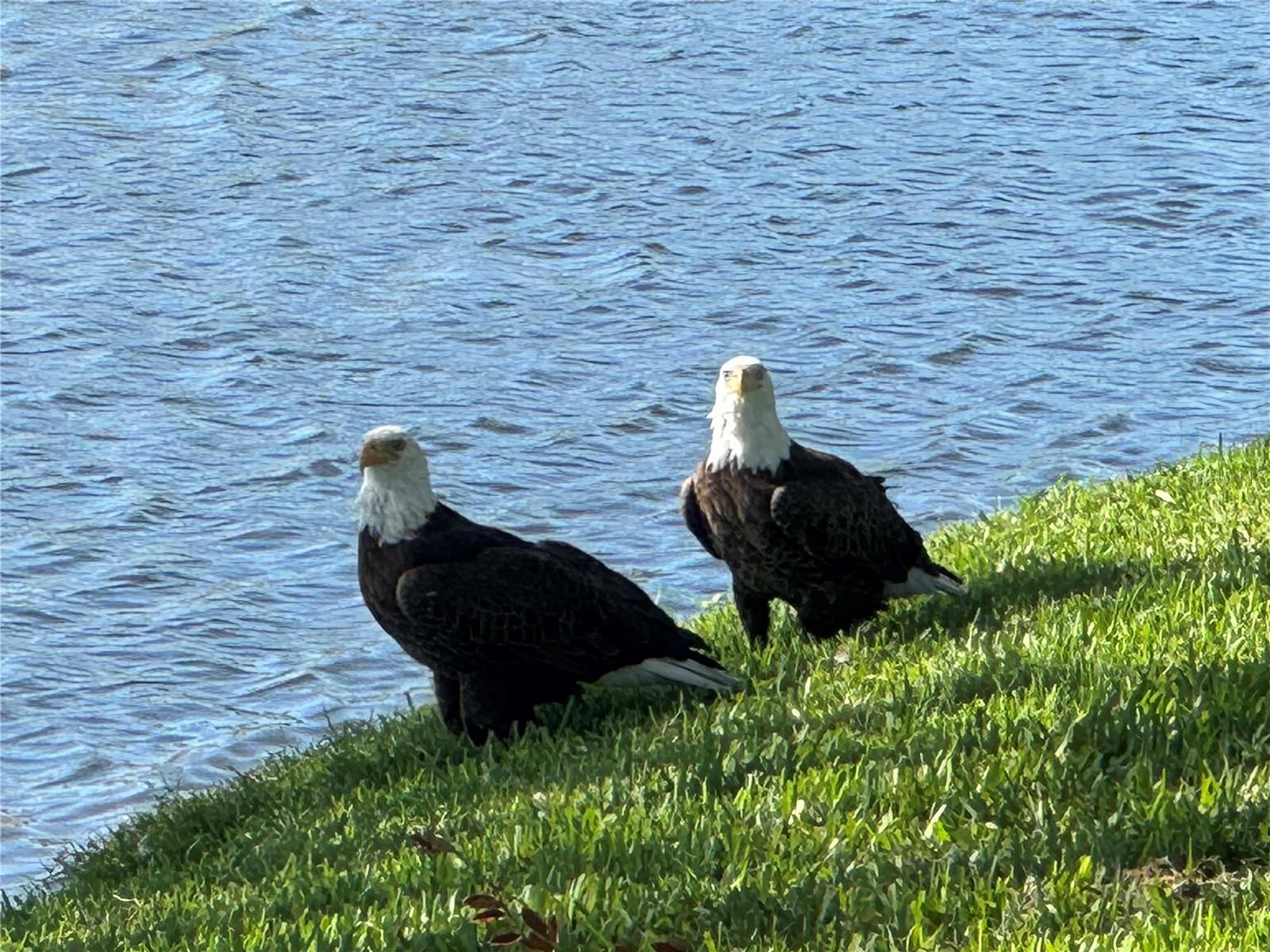 Image 55 of 98 For 487 Dover Circle