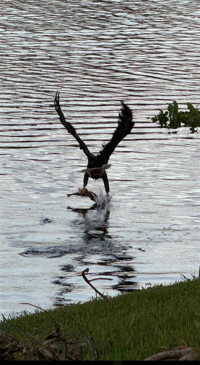 Image 56 of 98 For 487 Dover Circle