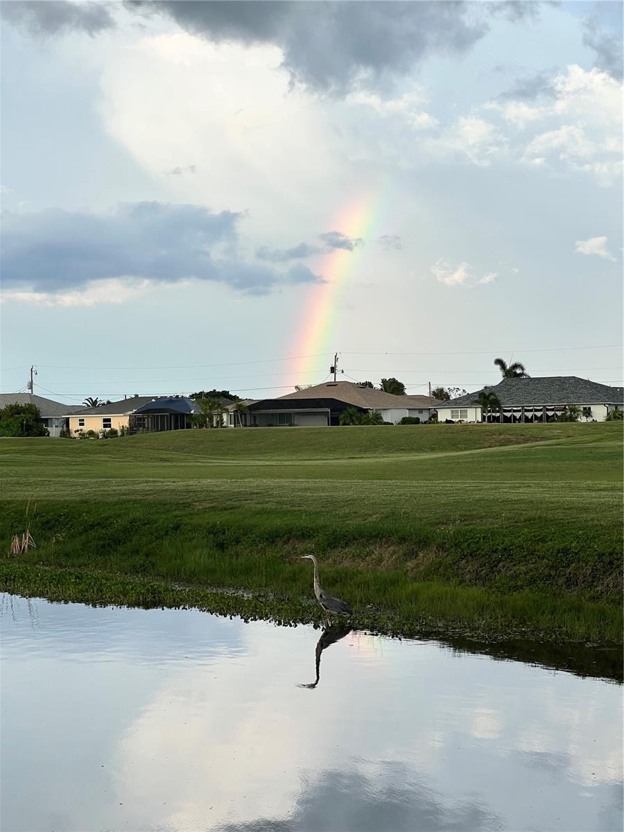 Image 64 of 80 For 228 Rotonda Circle