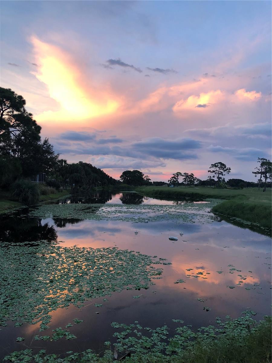 Image 68 of 80 For 228 Rotonda Circle