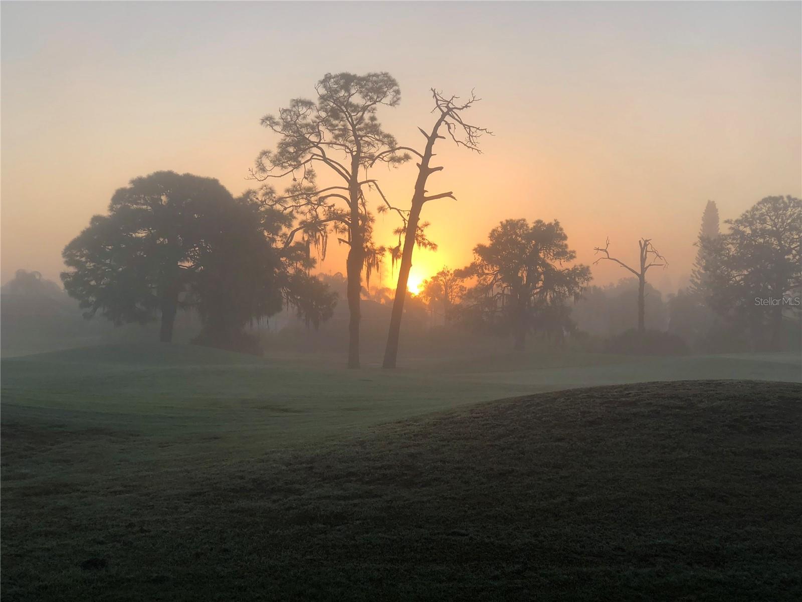 Image 73 of 80 For 228 Rotonda Circle