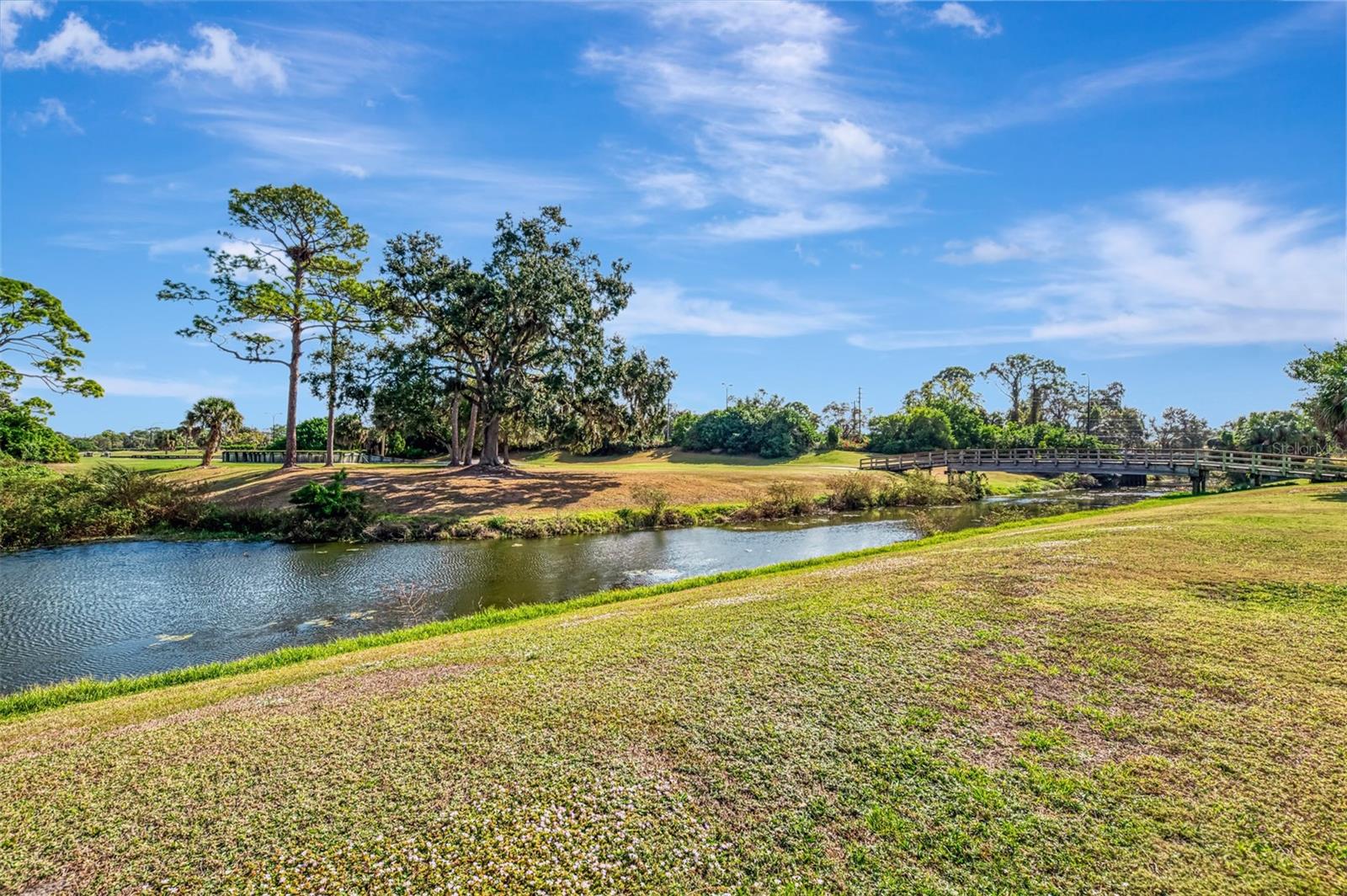 Image 64 of 71 For 4356 Camino Madera