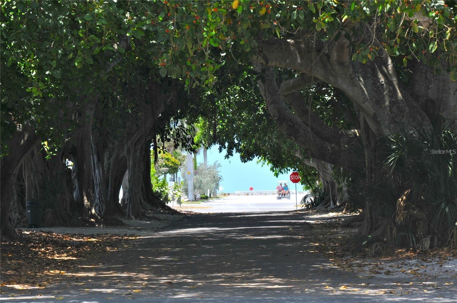 Image 73 of 77 For 10301 Coral Landings Court 104