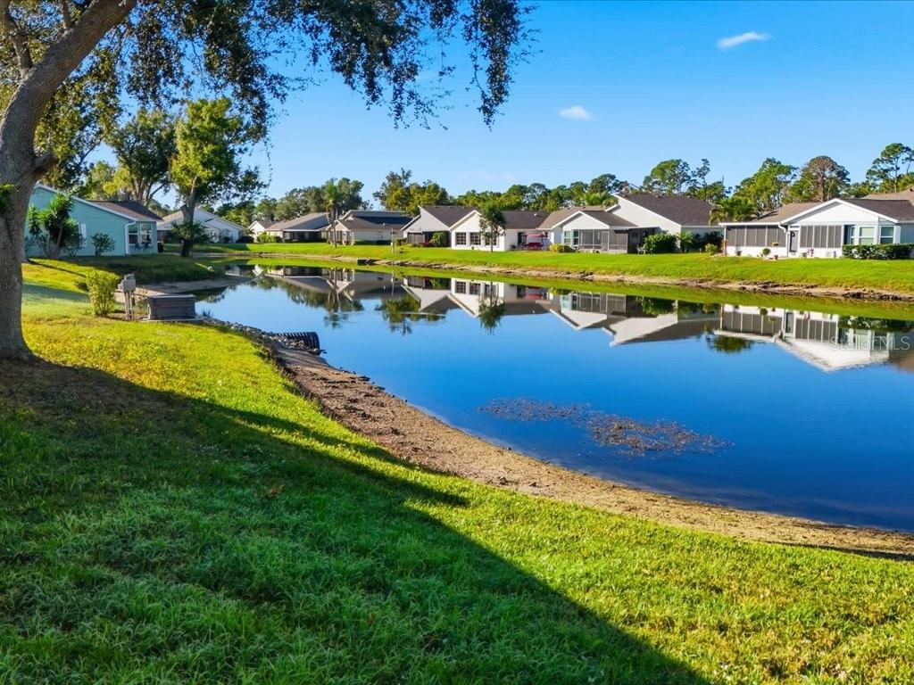 Image 19 of 47 For 299 Forest Springs Court