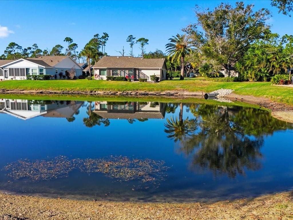 Image 22 of 47 For 299 Forest Springs Court