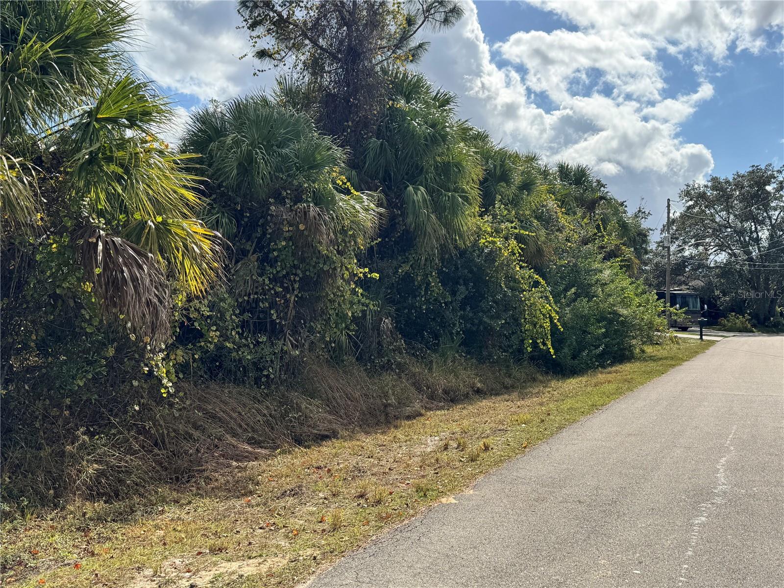 Image 10 of 11 For Sapelo Avenue