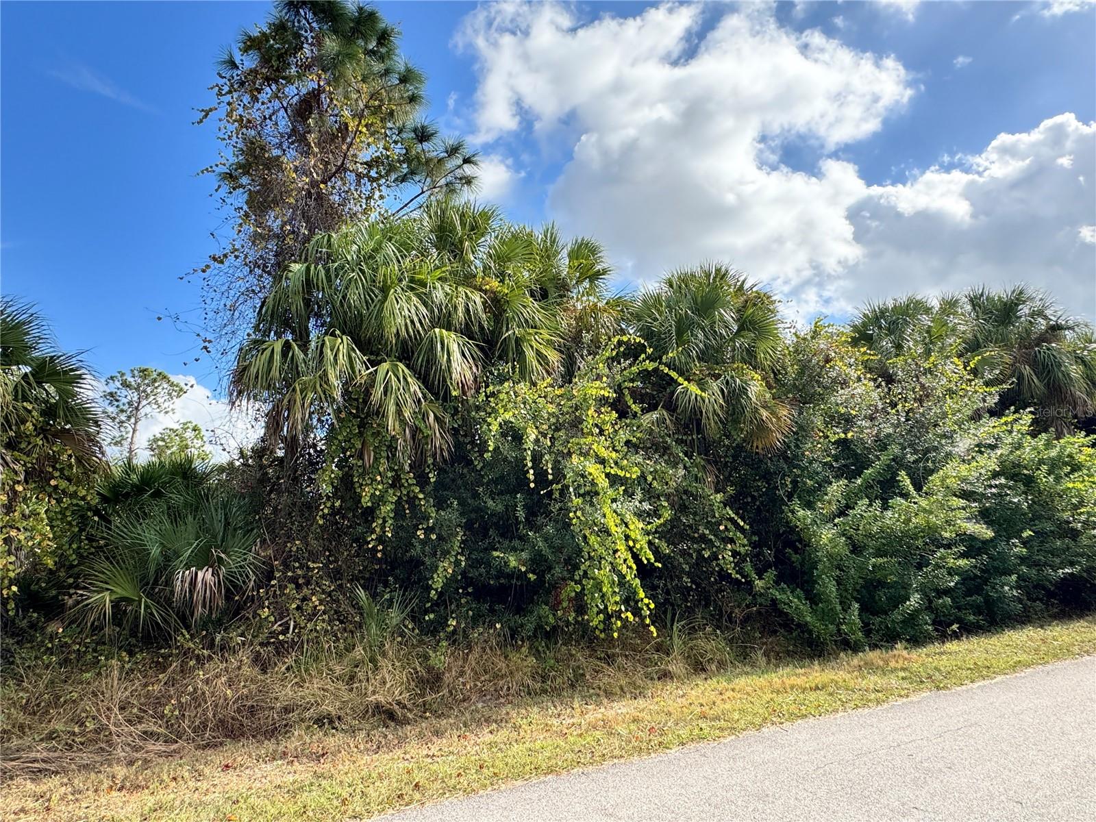 Image 5 of 11 For Sapelo Avenue