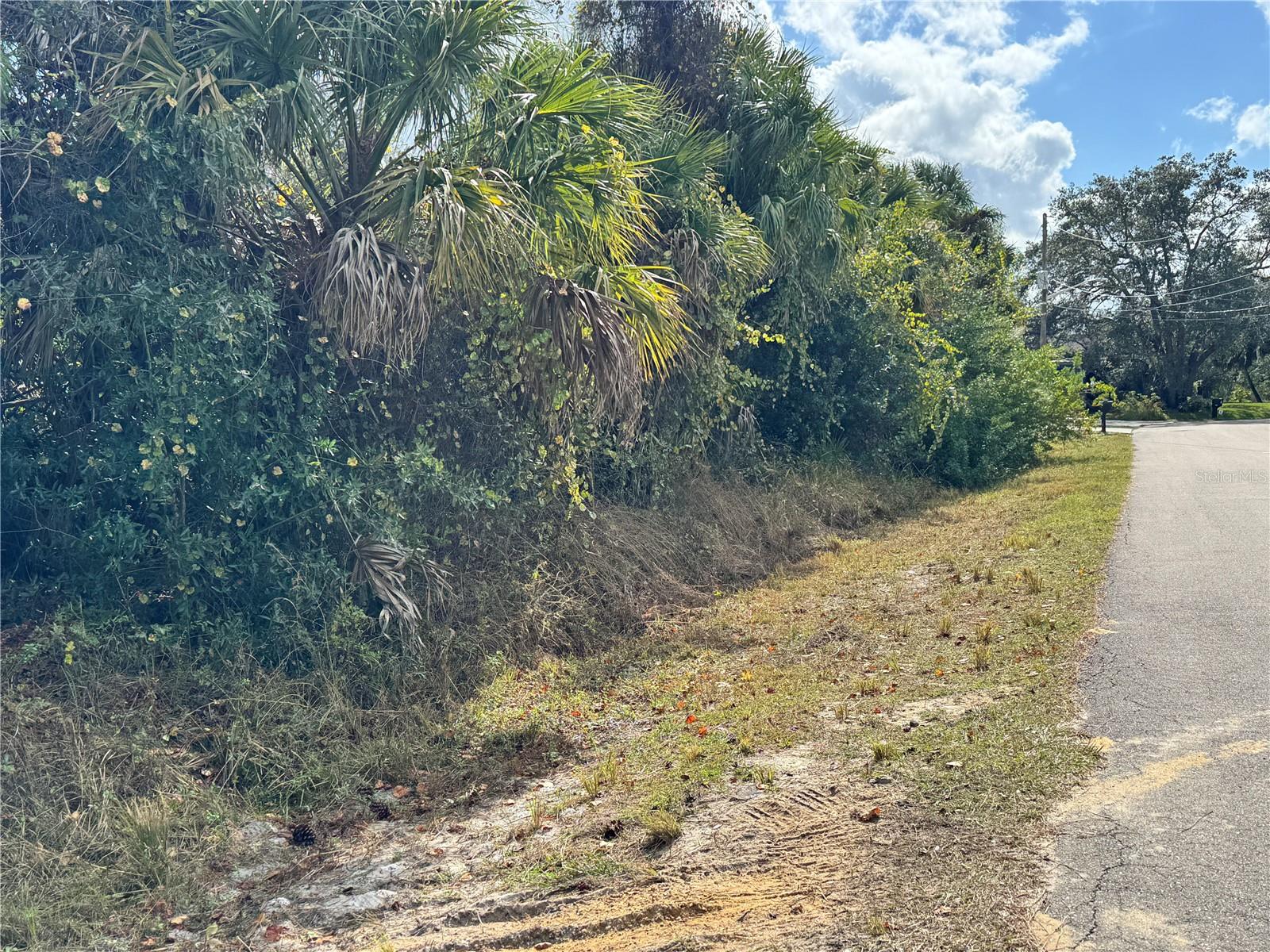Image 9 of 11 For Sapelo Avenue