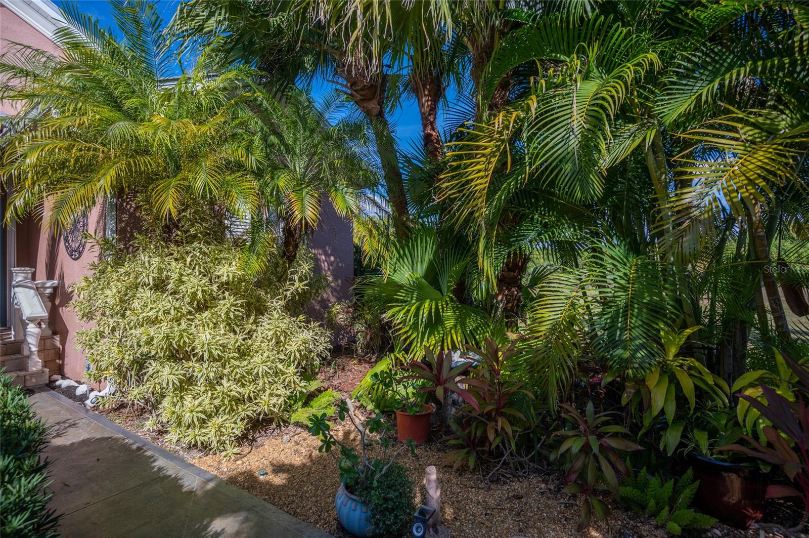 Image 62 of 84 For 208 Antilla Drive