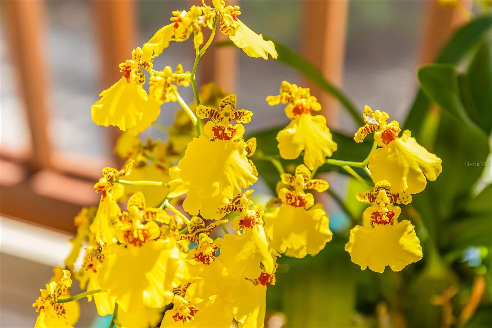 Image 32 of 43 For 160 1st Street E