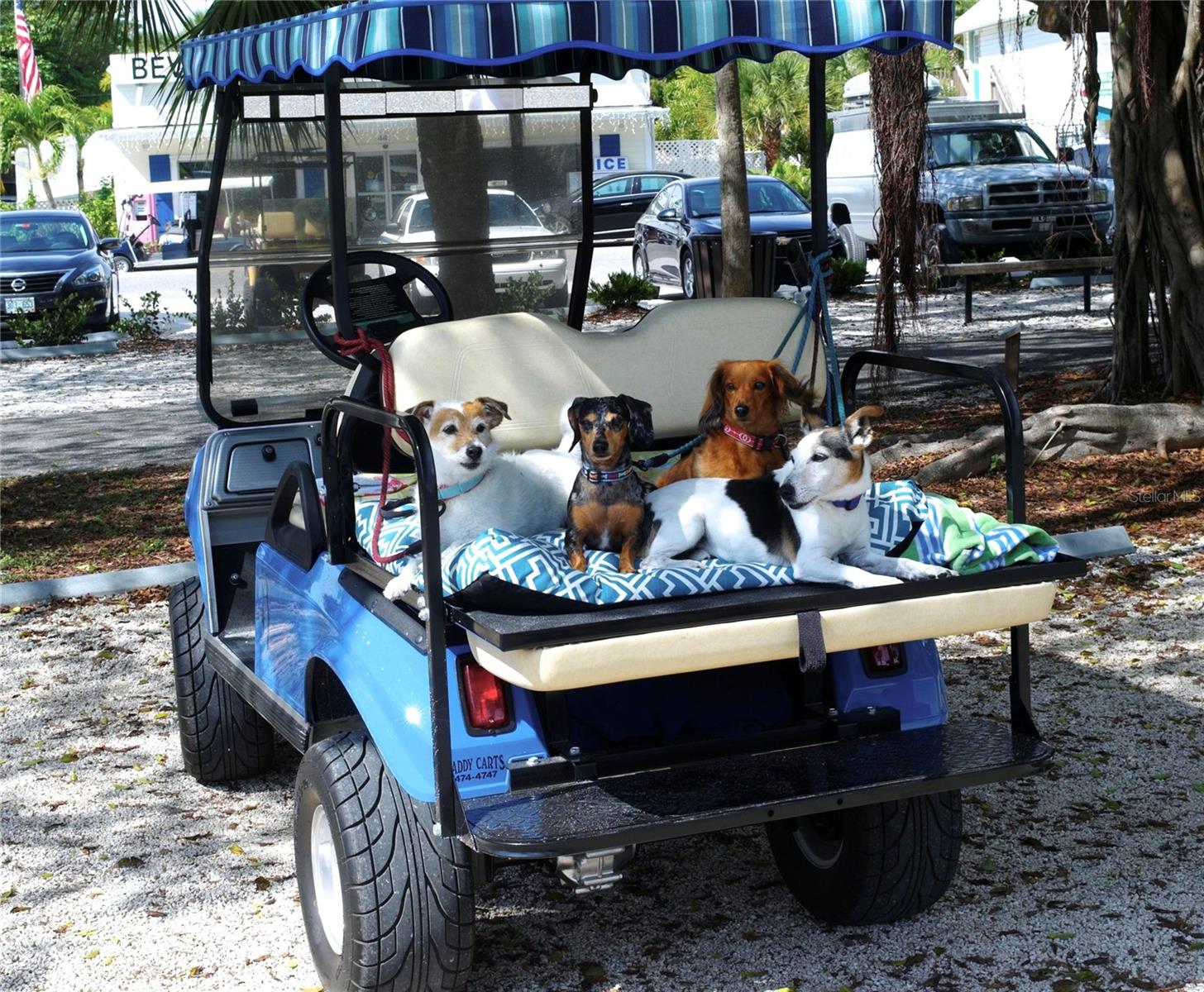 Image 41 of 43 For 160 1st Street E